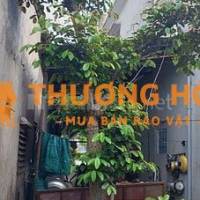 Cần bán 2 cây cảnh. Giá 5 triệu