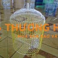 Tuyển nhân công phụ làm lồng chim hoặc thợ mộc