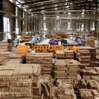 TUYỂN LDPT VÀ TAY NGHỀ GỖ LƯƠNG CAO TỪ 10-15TR