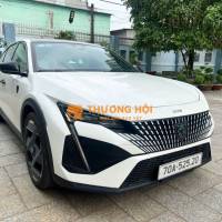 Peugeot 4*** km