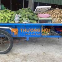 Cần bán xe lôi như hình