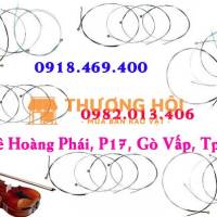 Thay dây đàn violin chuyên nghiệp tại gò vấp, tphcm