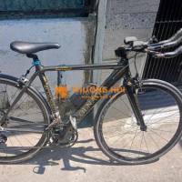 xe đạp carbon 700c.