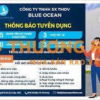 CTy Blue Ocean tuyển may mẫu, công nhân may,thợ phụ, thợ cắt, trải vải