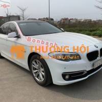 Xe BMW 5 Series 523i 2011 - 415 Triệu