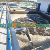 Xử lý nước thải chăn nuôi chi phí thấp