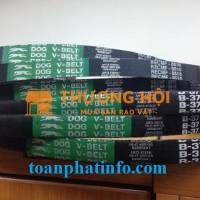 Dâym Curoa Toàn Phát – Giải Pháp Truyền Động Hiệu Quả Và Bền Bỉ