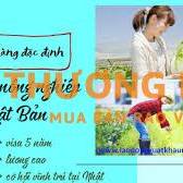Đơn hàng tokutei nông nghiệp Nhật Bản tuyển 2 nữ