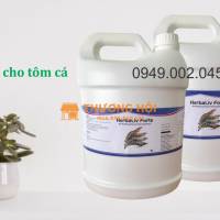 Herbaliv Forte - Bổ gan thảo dược dạng nước tôm cá