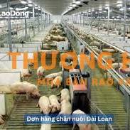 Cần 3 nam làm chăn nuôi tại Đài Loan