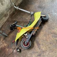 xe điện 24v-36v