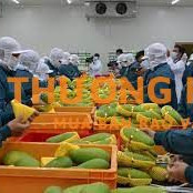 XKLD Đài Loan đơn hàng thực phẩm cần 8 nữ