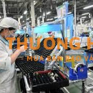 XKLĐ Đài Loan đơn hàng sản xuất kính áp tròng cần 20 nữ