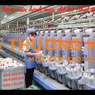 XKLD Nhật Bản đơn hàng vận hành máy dệt