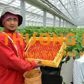 Đơn hàng nam làm nông nghiệp tại Nhật Bản