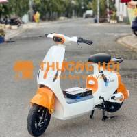 Bán Xe điện mới mua 1 tháng