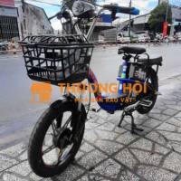 XE ĐẠP ĐIỆN SONSU, MINH NHIÊN