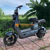 xe điện giá rẽ