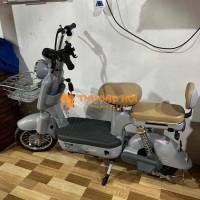 Xe đạp điện thế hệ mới khóa từ Yadea F1 mới nhất