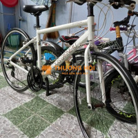 Không đi nên cần thanh lý giá bèo....