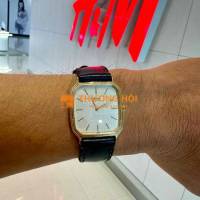 tank Seiko SGP 30 micron