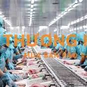 Cần 2 nữ làm thuỷ sản tại Đài Loan