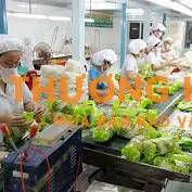 XKLD Đài Loan cần 2 nữ đóng gói hoa quả