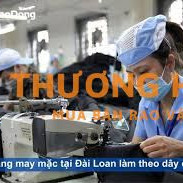 XKLD Đài Loan cần 15 nữ làm may
