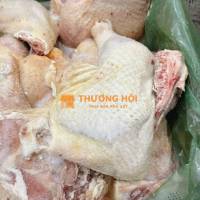 Cung cấp đùi gà góc tư cho quán ăn, nhà hàng