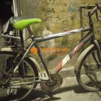 Xe khoẻ .SAFARY 26IN TAIWAN 555K