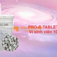 Pro - B Tablets - Vi sinh nguyên liệu Mỹ dạng viên 10g