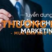 TRƯỞNG PHỎNG MARKETING