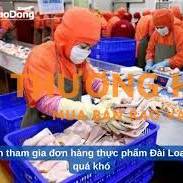 XKLD Đài Loan đơn hàng thực phẩm, nhận cả cặp vợ chồng