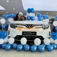 VF8 LUX PLUS VẬN HÀNH CHI PHÍ = O,170TR NHẬN XE