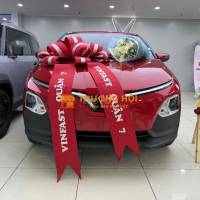 VINFAST VF5 ĐỦ MÀU GIAO LIỀN-MANG XE NGAY VỀ NHÀ