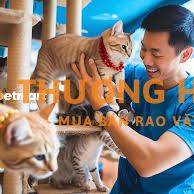 NHÂN VIÊN CHĂM SÓC MÈO & CẢNH QUAN VĂN PHÒNG