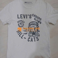 Levis authentic size M