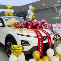 VF6 DUYỆT VAY 100% – KHÔNG CẦN CHỨNG MINH THU NHẬP