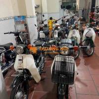 các dòng cub nhật