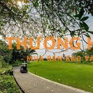 Nam nhân viên cây xanh 7 - 8 triệu bao ăn trưa + ở