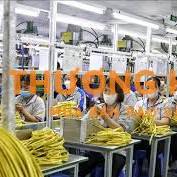 2 nữ đi mới đơn hàng sản xuất dây điện xkld Đài Loan