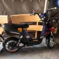 ban xe dien dang di