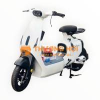 Xe đạp điện V1