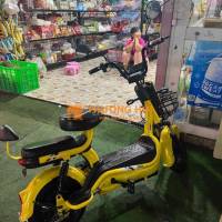 xe đạp điện giá rẻ