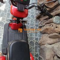 Xe điện dành cho người lớn tuổi tiện lợi