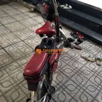Đạp điện