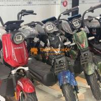 Xe điện kaishi ks250 việt nhật