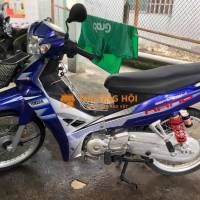 sirus kiểng bs61 cccd chủ