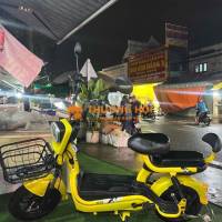 xe đạp điện giá rẻ