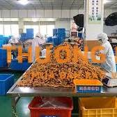 Đơn hàng đi xkld Đài Loan làm đóng gói thức ăn thú cưng